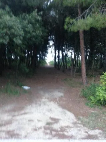 Apartamento Marina Di *